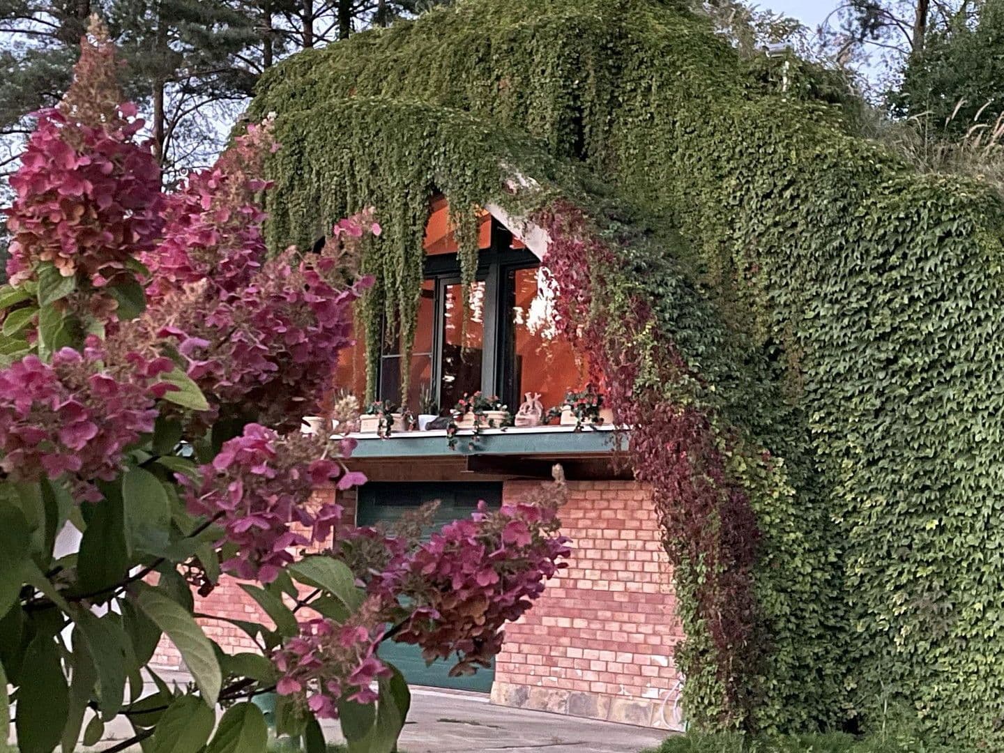 Predaj nebytového priestoru 30.000 m², Lindenstraße 15, Neuhardenberg, Brandenbursko Predaj nebytového priestoru 30.000 m², Lindenstraße 15, Neuhardenberg, Brandenbursko