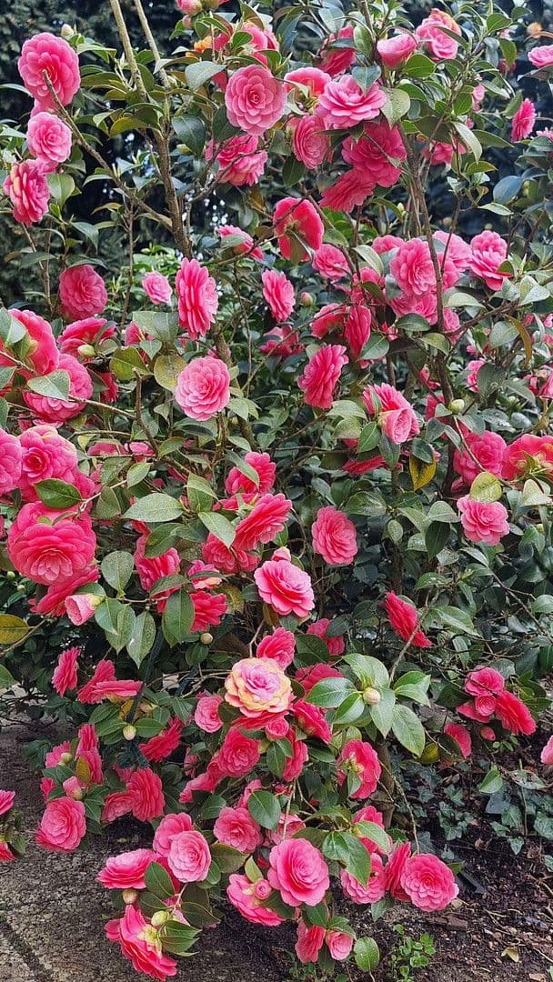 Predaj bytu 3-izbový 95 m², Frankfurt, Hesensko Predaj bytu 3-izbový 95 m², Frankfurt, Hesensko