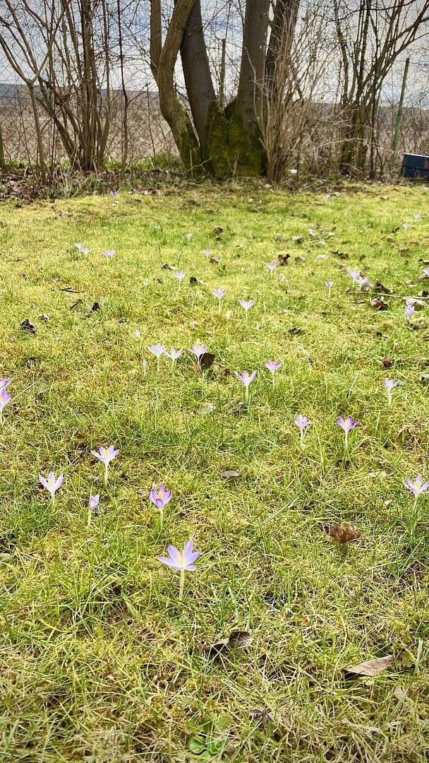 Predaj domu 168 m², pozemek 515 m², Feldkirchen bei München, Bavorsko Predaj domu 168 m², pozemek 515 m², Feldkirchen bei München, Bavorsko