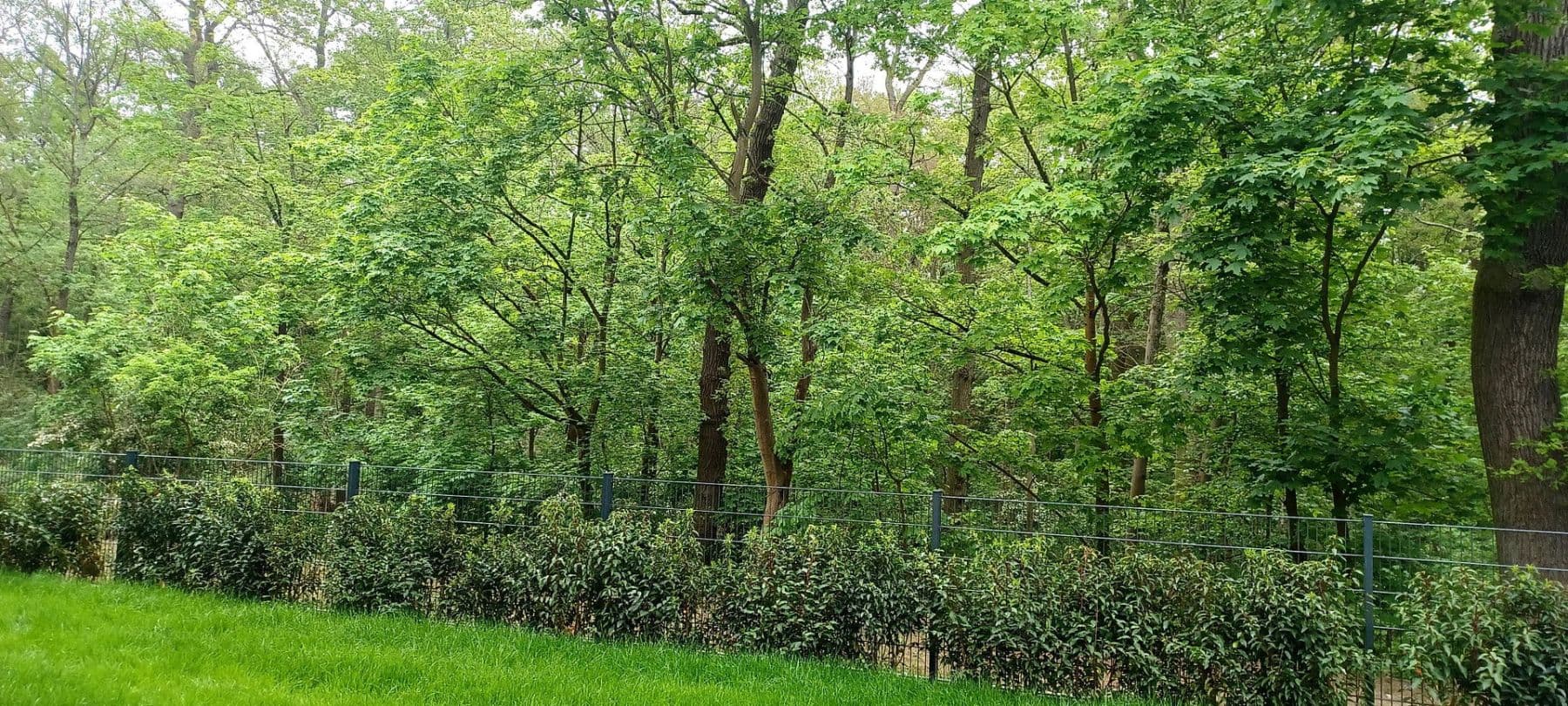 Prenájom bytu 5-izbový 173 m², Kronberger Strasse, Bad Soden am Taunus, Hesensko Prenájom bytu 5-izbový 173 m², Kronberger Strasse, Bad Soden am Taunus, Hesensko