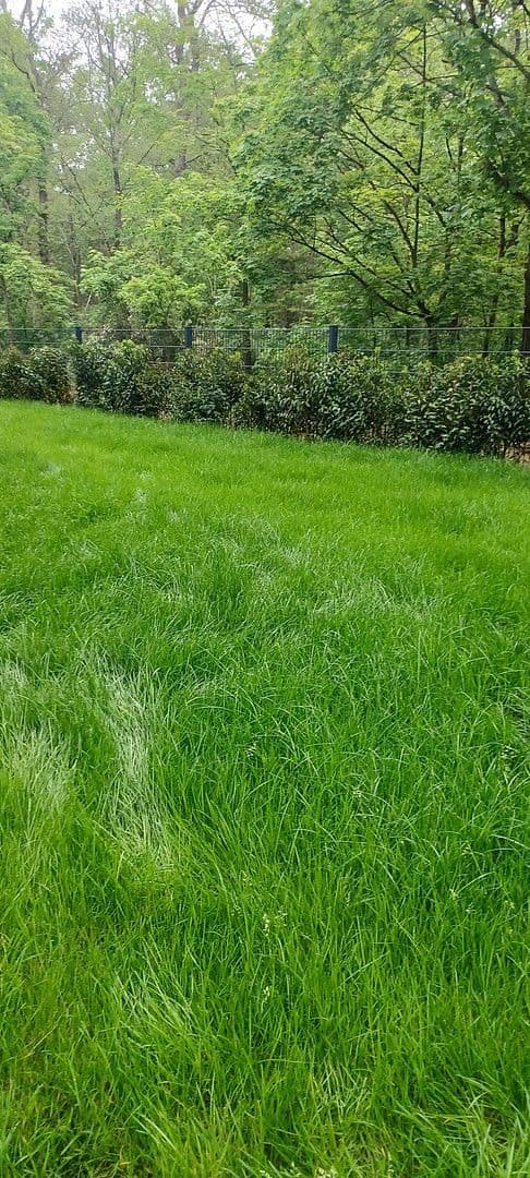 Prenájom bytu 5-izbový 173 m², Kronberger Strasse, Bad Soden am Taunus, Hesensko Prenájom bytu 5-izbový 173 m², Kronberger Strasse, Bad Soden am Taunus, Hesensko