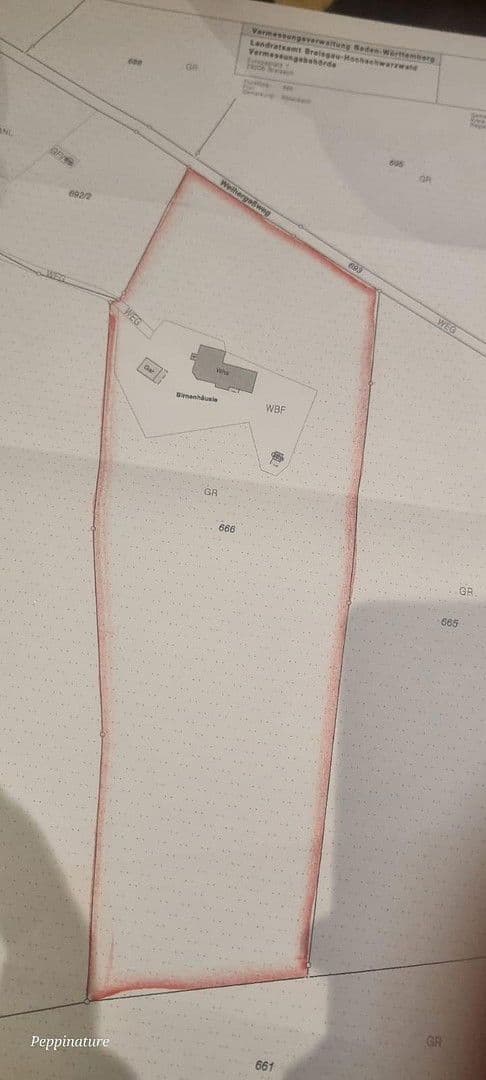 Predaj domu 390 m², pozemek 23.963 m², Friedenweiler, Bádensko-Wurttembersko Predaj domu 390 m², pozemek 23.963 m², Friedenweiler, Bádensko-Wurttembersko