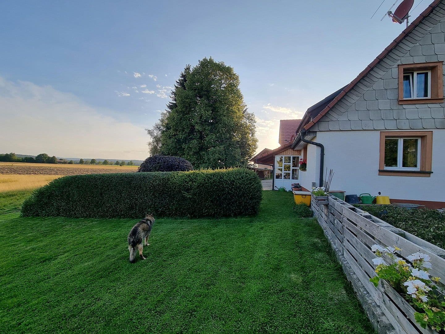 Predaj domu 390 m², pozemek 23.963 m², Friedenweiler, Bádensko-Wurttembersko Predaj domu 390 m², pozemek 23.963 m², Friedenweiler, Bádensko-Wurttembersko