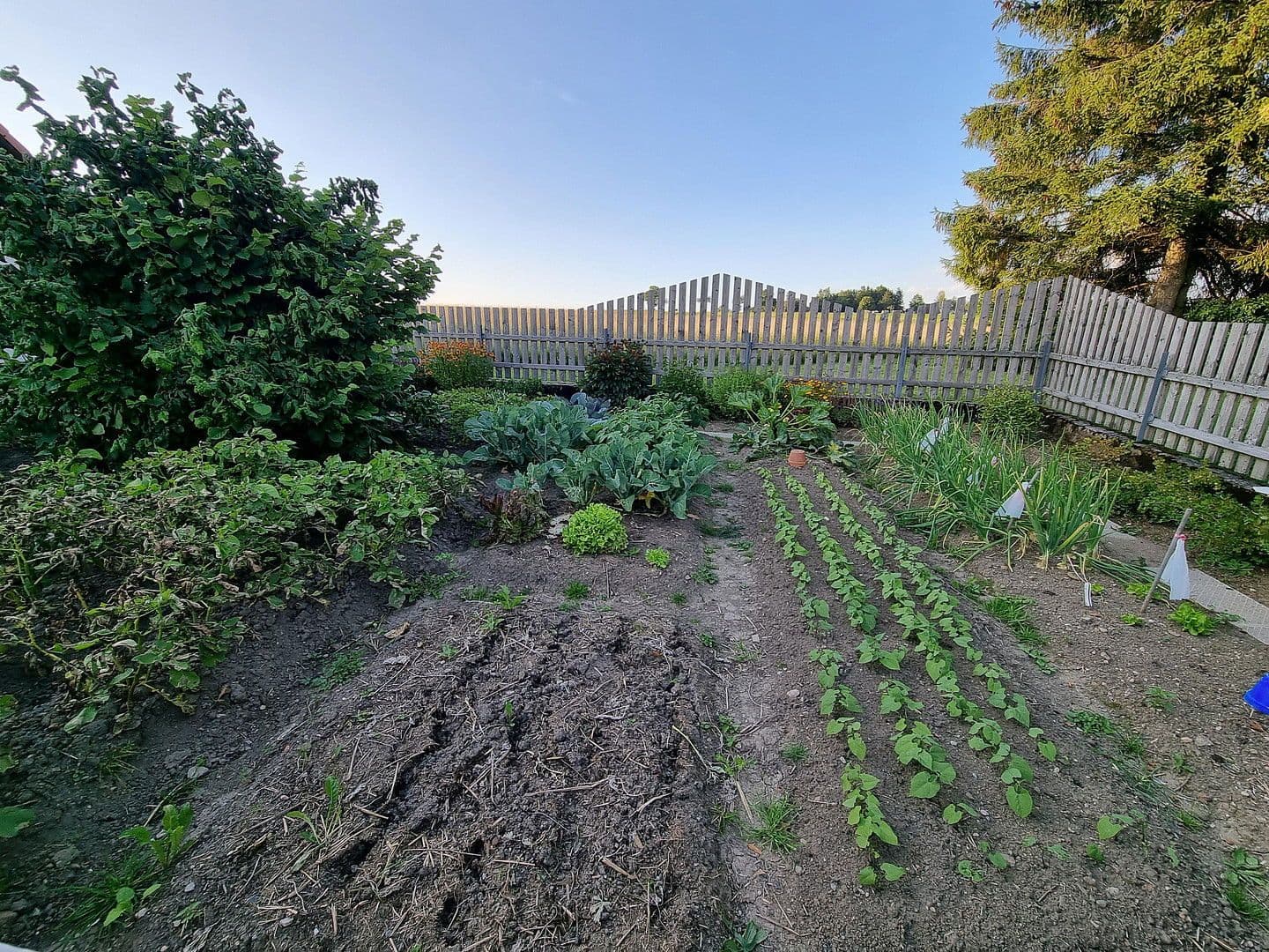 Predaj domu 390 m², pozemek 23.963 m², Friedenweiler, Bádensko-Wurttembersko Predaj domu 390 m², pozemek 23.963 m², Friedenweiler, Bádensko-Wurttembersko