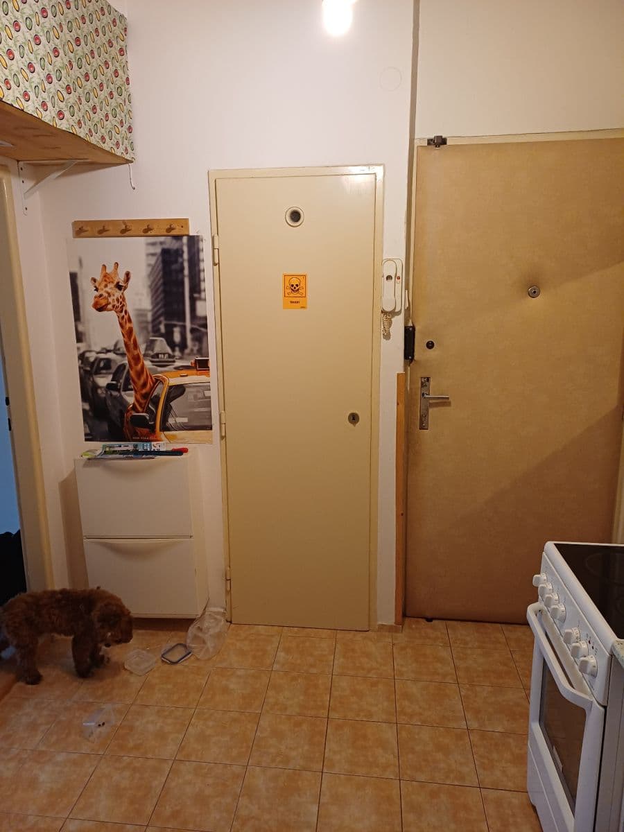 Prenájom bytu 2-izbový 49 m², Ostrovského, Praha, Praha Prenájom bytu 2-izbový 49 m², Ostrovského, Praha, Praha