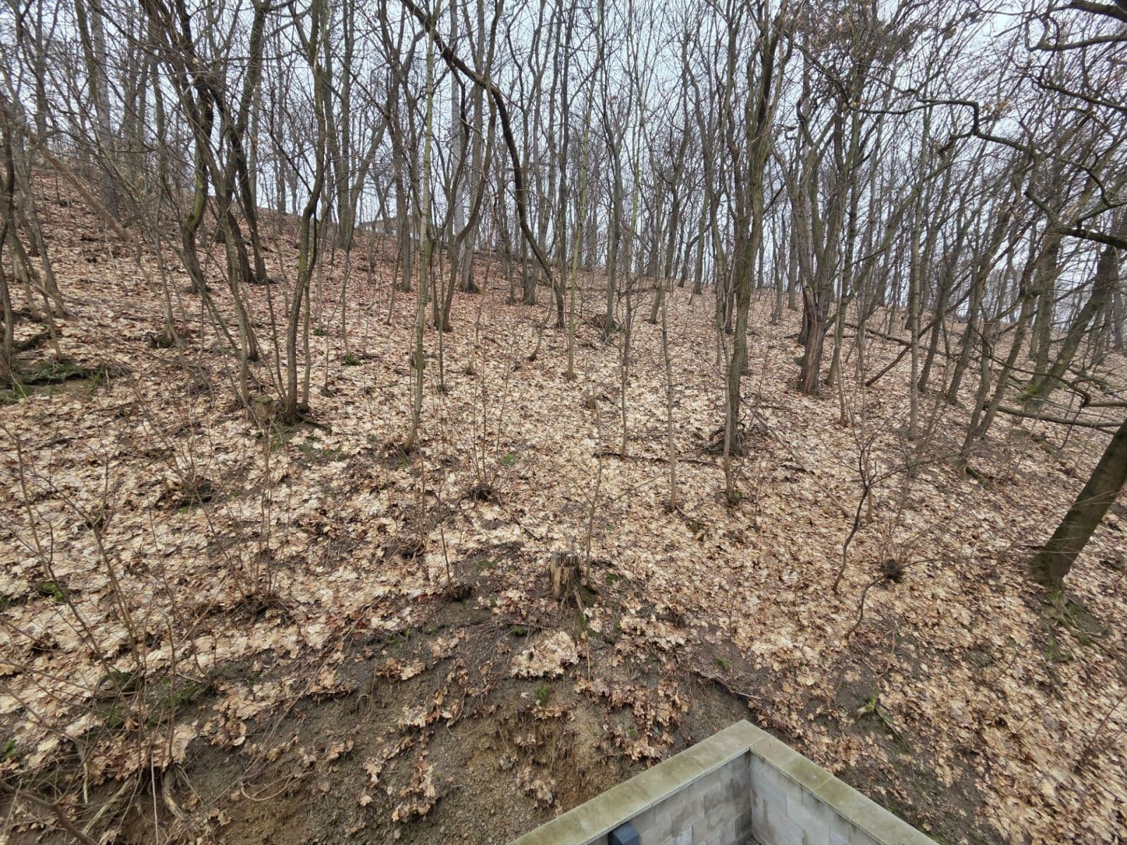 Prenájom bytu 2-izbový 38 m², Pod Stárkou, Praha, Praha Prenájom bytu 2-izbový 38 m², Pod Stárkou, Praha, Praha