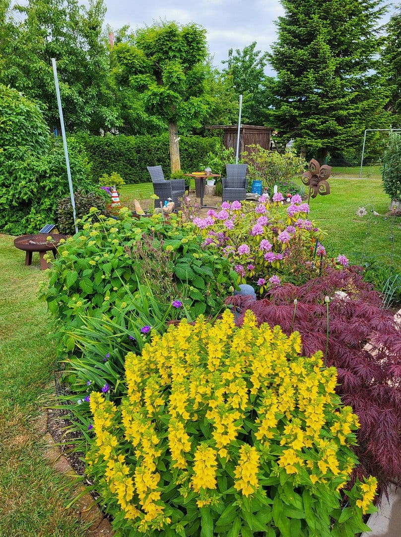 Predaj domu 152 m², pozemek 769 m², Jördenstorf, Meklenbursko-Predpomoransko Predaj domu 152 m², pozemek 769 m², Jördenstorf, Meklenbursko-Predpomoransko