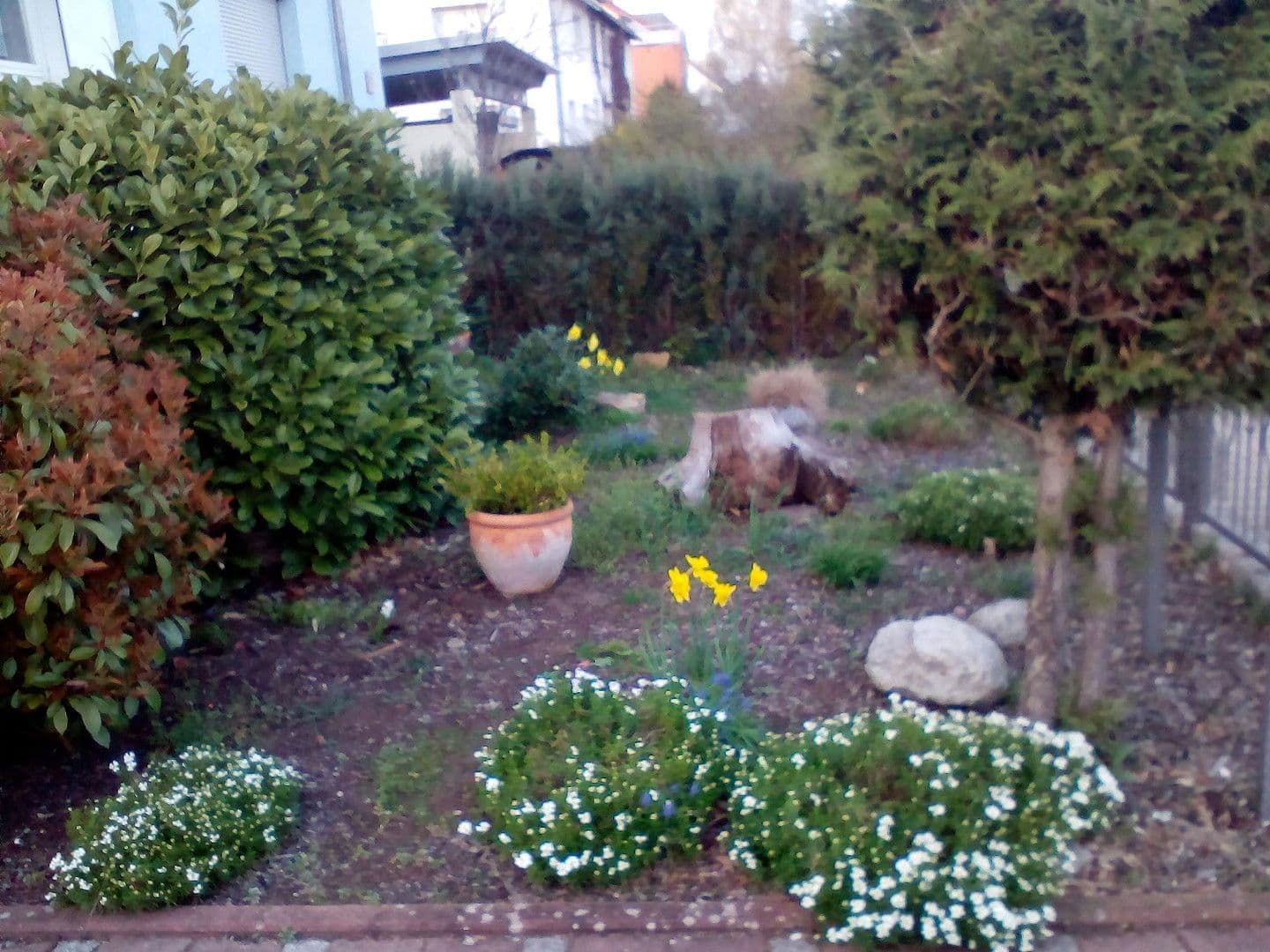 Prenájom domu 125 m², pozemek 275 m², Walldorf, Bádensko-Wurttembersko Prenájom domu 125 m², pozemek 275 m², Walldorf, Bádensko-Wurttembersko