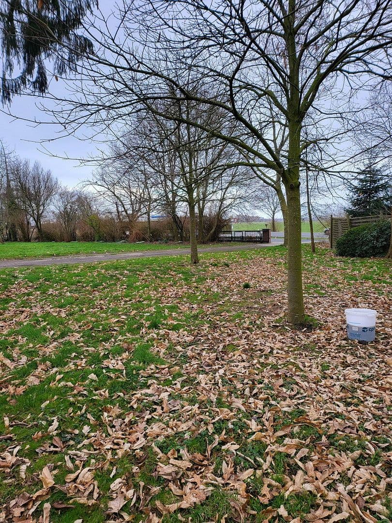 Predaj pozemku 575 m², Berne, Dolné Sasko Predaj pozemku 575 m², Berne, Dolné Sasko