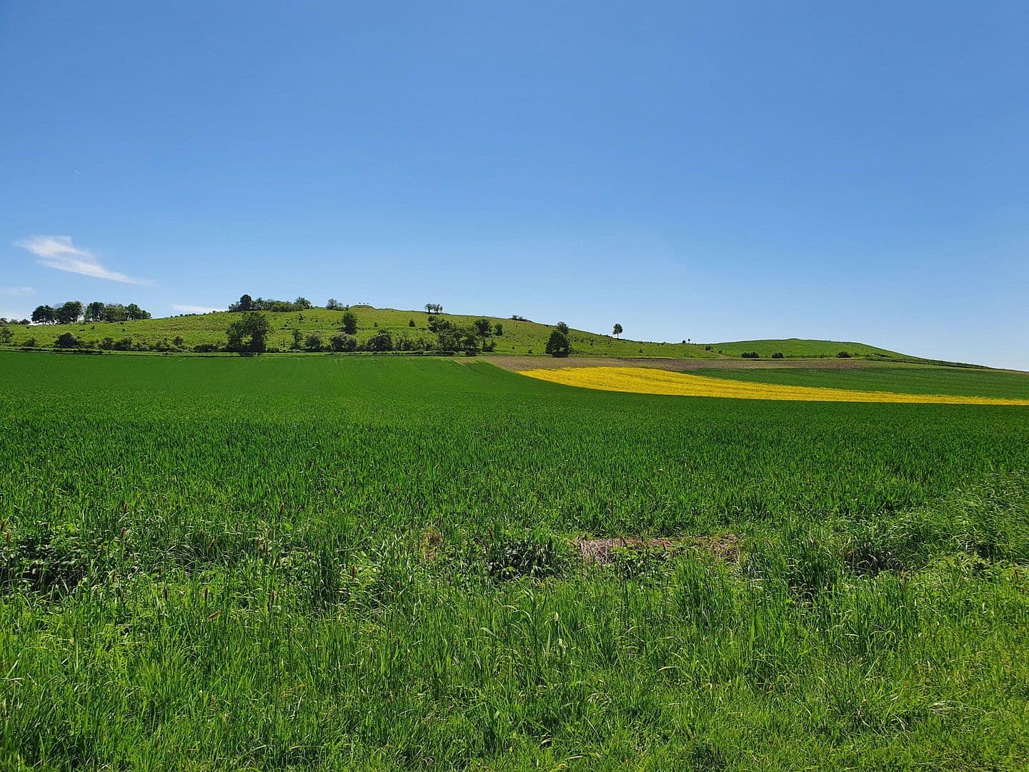 Predaj pozemku 496 m², Offenbergblick 16, Hofgeismar, Hesensko Predaj pozemku 496 m², Offenbergblick 16, Hofgeismar, Hesensko