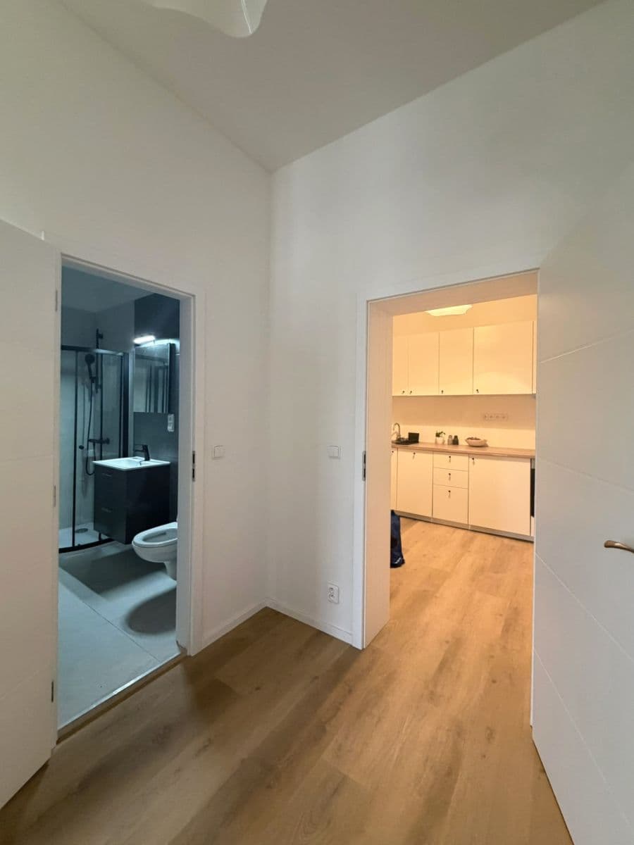 Prenájom bytu 1-izbový 31 m², U Tyrše, Praha, Praha Prenájom bytu 1-izbový 31 m², U Tyrše, Praha, Praha