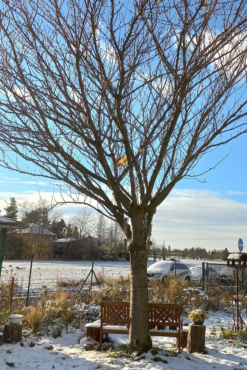 Predaj bytu 3-izbový 69 m², Trojmezní, Šestajovice, Středočeský kraj Predaj bytu 3-izbový 69 m², Trojmezní, Šestajovice, Středočeský kraj