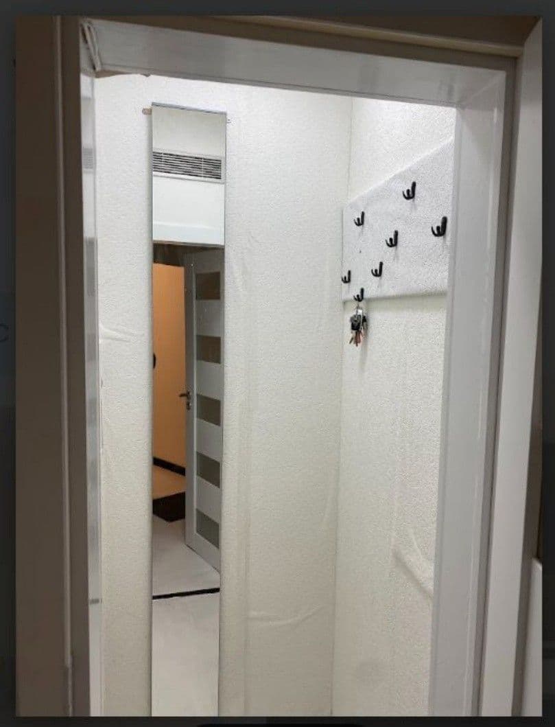 Prenájom bytu 3-izbový 55 m², Voskovcova, Praha, Praha Prenájom bytu 3-izbový 55 m², Voskovcova, Praha, Praha