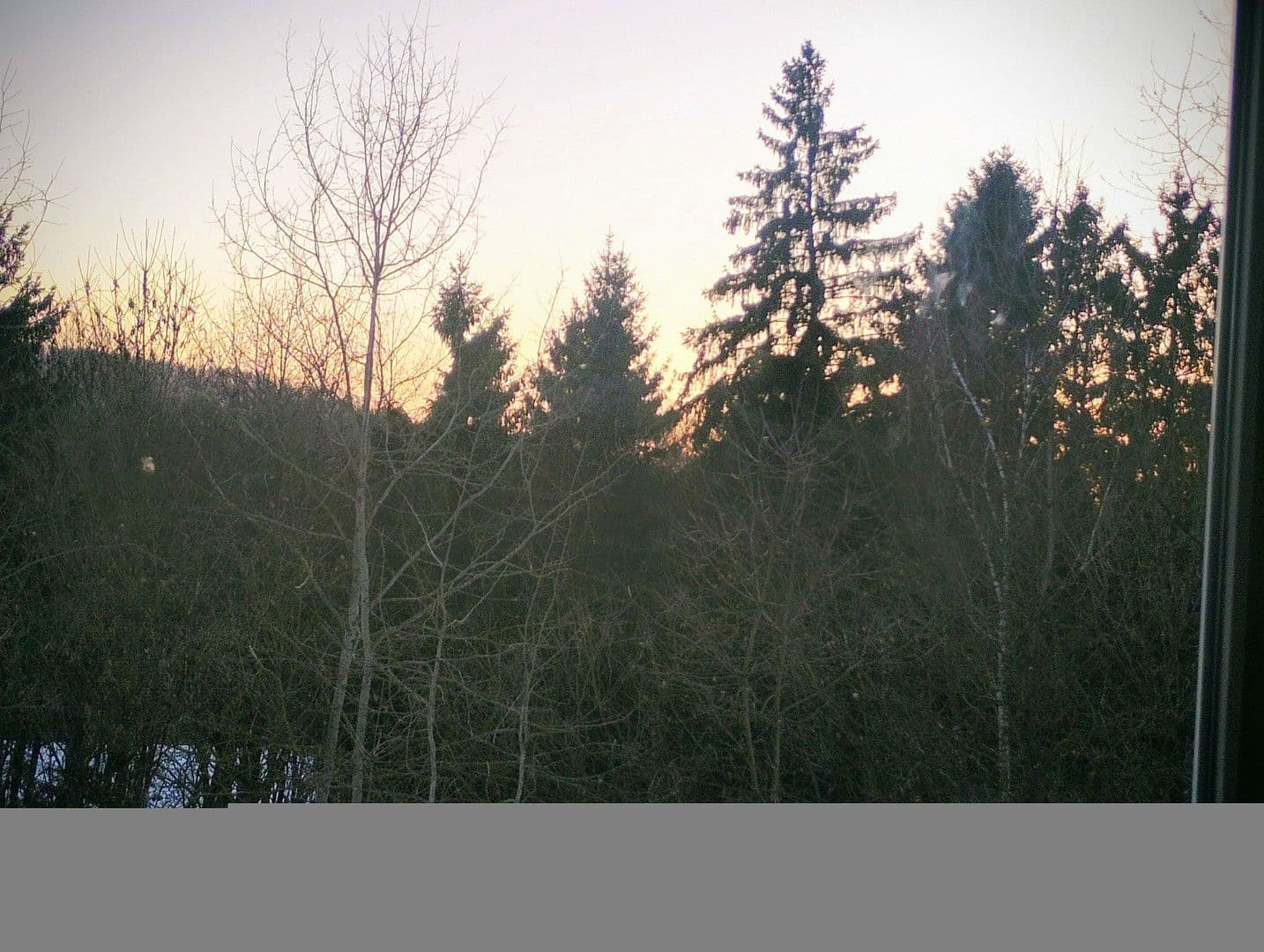 Predaj domu 90 m², pozemek 2.829 m², Fürstenstein, Bavorsko Predaj domu 90 m², pozemek 2.829 m², Fürstenstein, Bavorsko