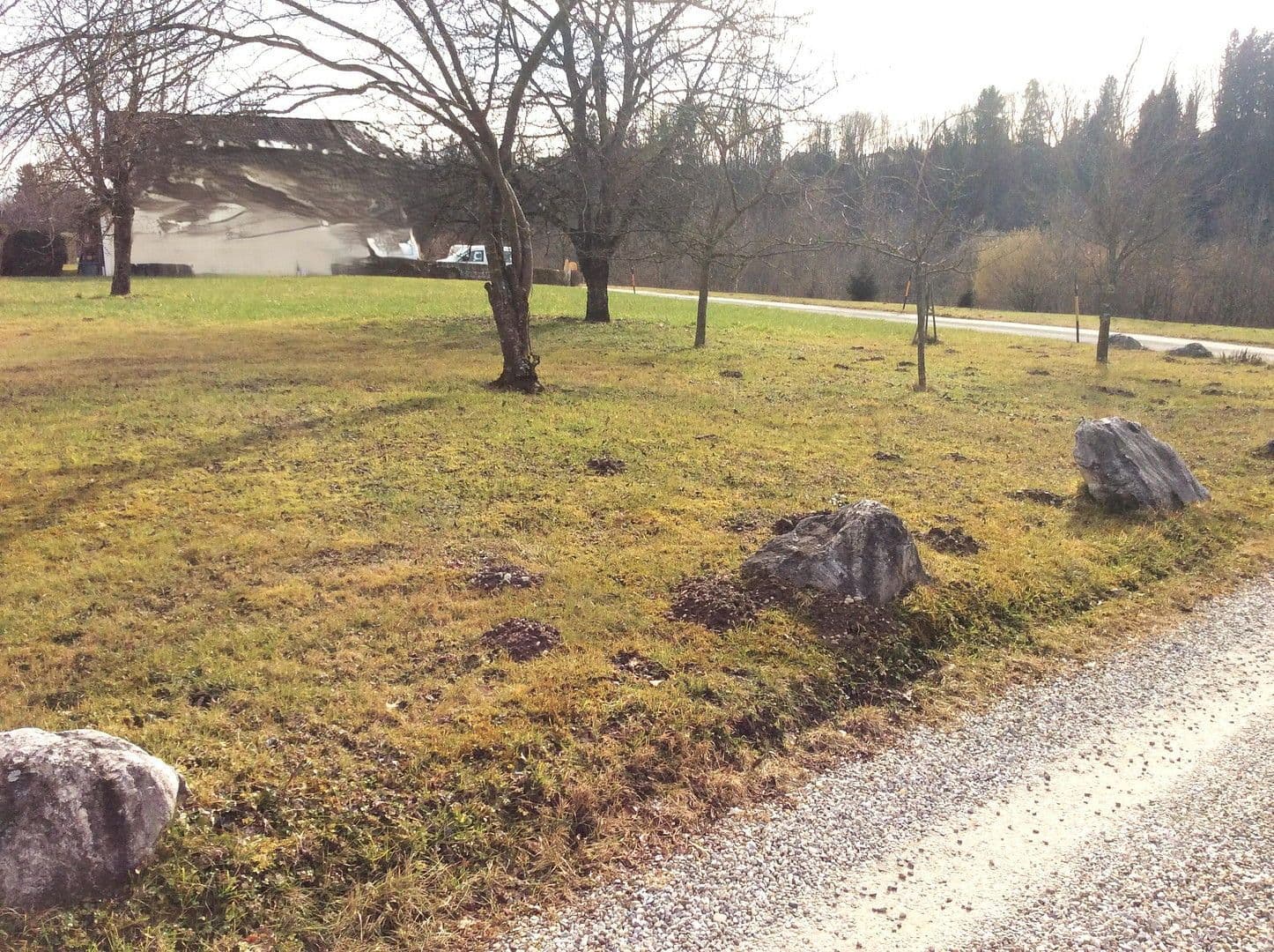 Predaj pozemku 1.342 m², Haggenstraße, Oberndorf, Salzbursko Predaj pozemku 1.342 m², Haggenstraße, Oberndorf, Salzbursko