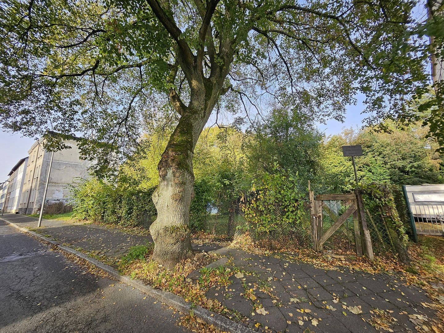 Predaj pozemku 1.384 m², Dannenbaumstr. 34, Bochum, Severné Porýnie - Westfálsko Predaj pozemku 1.384 m², Dannenbaumstr. 34, Bochum, Severné Porýnie - Westfálsko