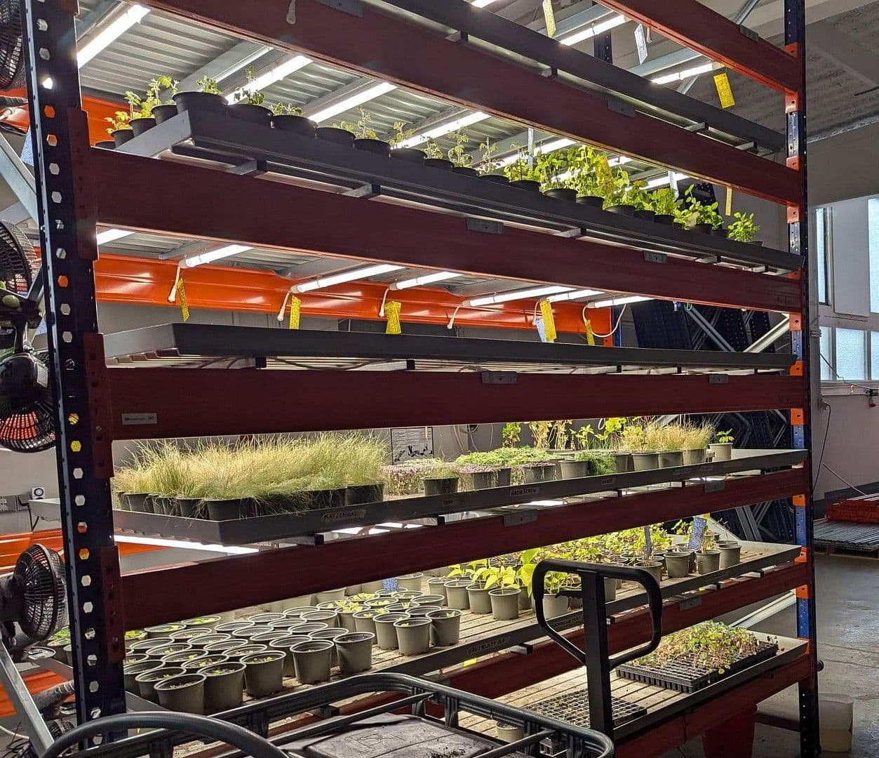 Prenájom nebytového priestoru 473 m², Wesseling, Severné Porýnie - Westfálsko Prenájom nebytového priestoru 473 m², Wesseling, Severné Porýnie - Westfálsko