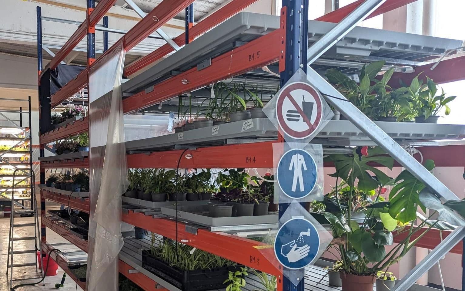 Prenájom nebytového priestoru 473 m², Wesseling, Severné Porýnie - Westfálsko Prenájom nebytového priestoru 473 m², Wesseling, Severné Porýnie - Westfálsko