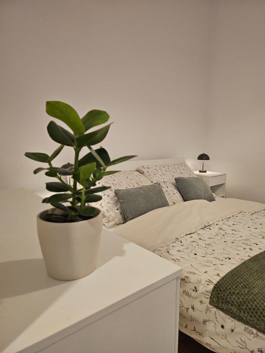 Prenájom bytu 1-izbový 35 m², Petrská, Praha, Praha Prenájom bytu 1-izbový 35 m², Petrská, Praha, Praha