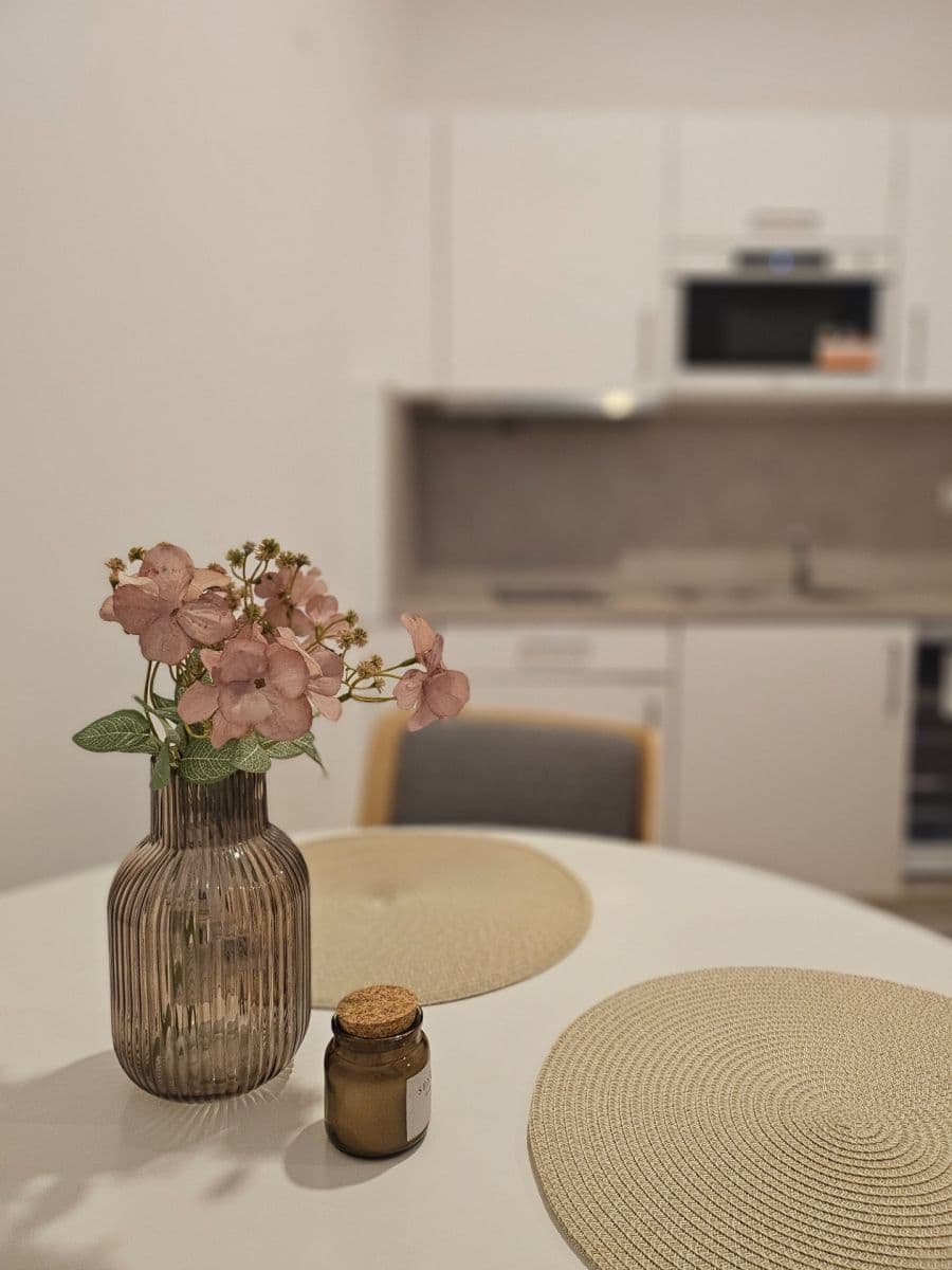 Prenájom bytu 1-izbový 35 m², Petrská, Praha, Praha Prenájom bytu 1-izbový 35 m², Petrská, Praha, Praha