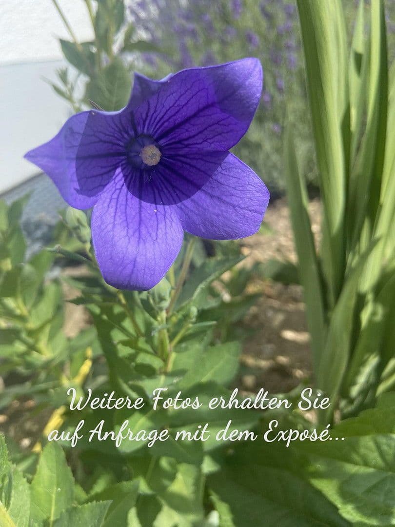 Predaj bytu 3-izbový 88 m², Augsburg, Bavorsko Predaj bytu 3-izbový 88 m², Augsburg, Bavorsko