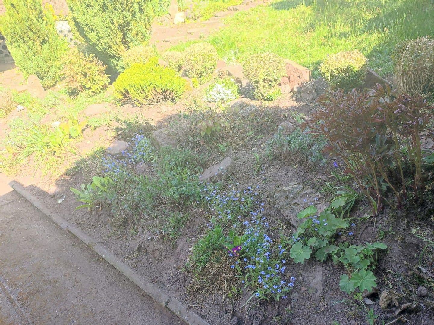 Predaj domu 129 m², pozemek 372 m², Helsa, Hesensko Predaj domu 129 m², pozemek 372 m², Helsa, Hesensko