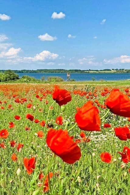 Predaj domu 140 m², pozemek 800 m², Dassow, Meklenbursko-Predpomoransko Predaj domu 140 m², pozemek 800 m², Dassow, Meklenbursko-Predpomoransko