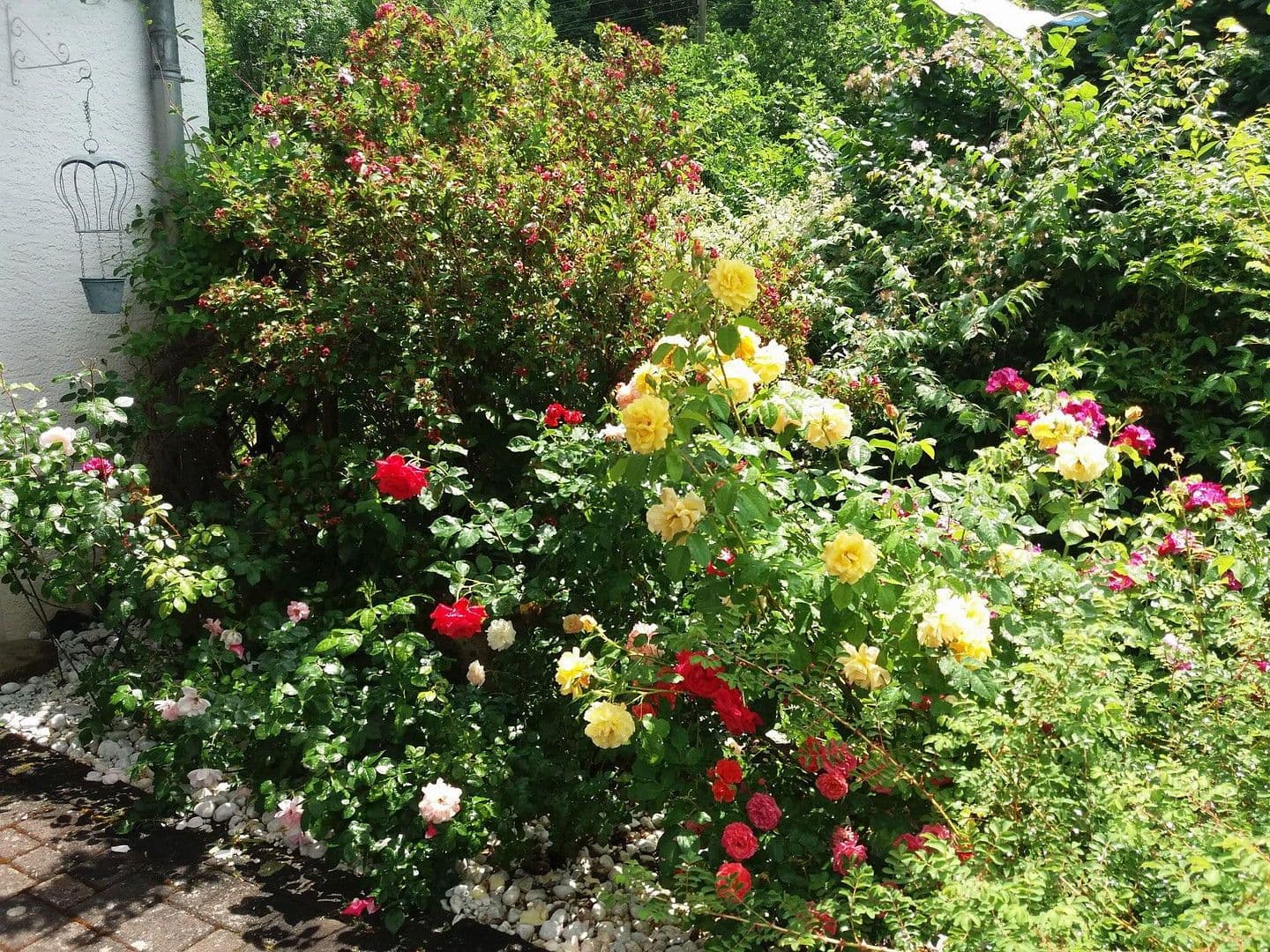 Predaj domu 188 m², pozemek 1.233 m², Densborn, Porýnie-Falcko Predaj domu 188 m², pozemek 1.233 m², Densborn, Porýnie-Falcko