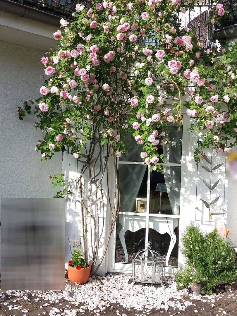 Predaj domu 188 m², pozemek 1.233 m², Densborn, Porýnie-Falcko Predaj domu 188 m², pozemek 1.233 m², Densborn, Porýnie-Falcko