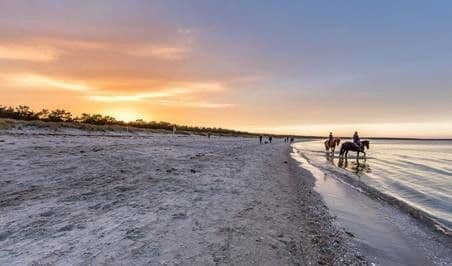 Predaj pozemku 999 m², Glowe, Meklenbursko-Predpomoransko Predaj pozemku 999 m², Glowe, Meklenbursko-Predpomoransko