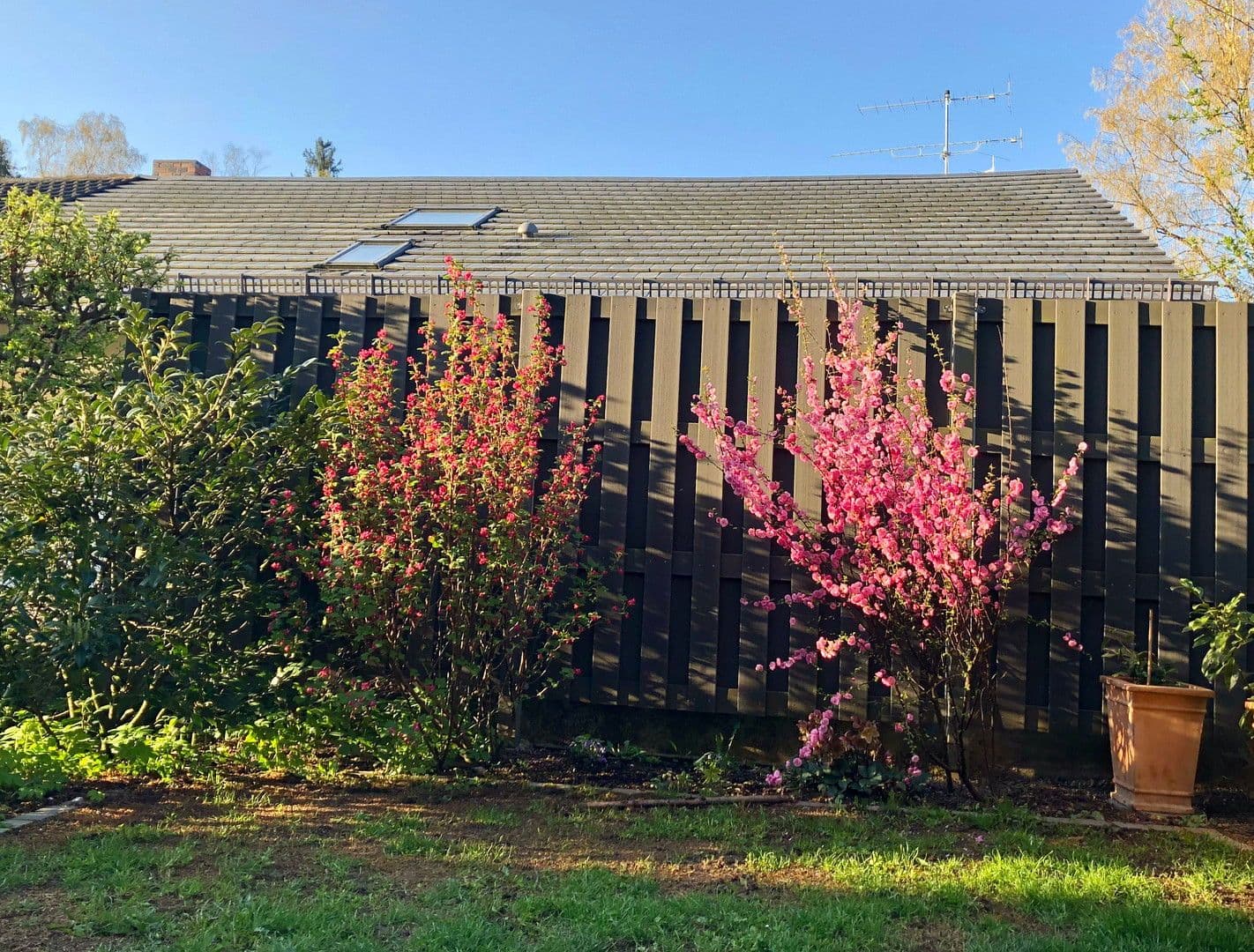 Prenájom domu 171 m², pozemek 250 m², Baldham, Bavorsko Prenájom domu 171 m², pozemek 250 m², Baldham, Bavorsko