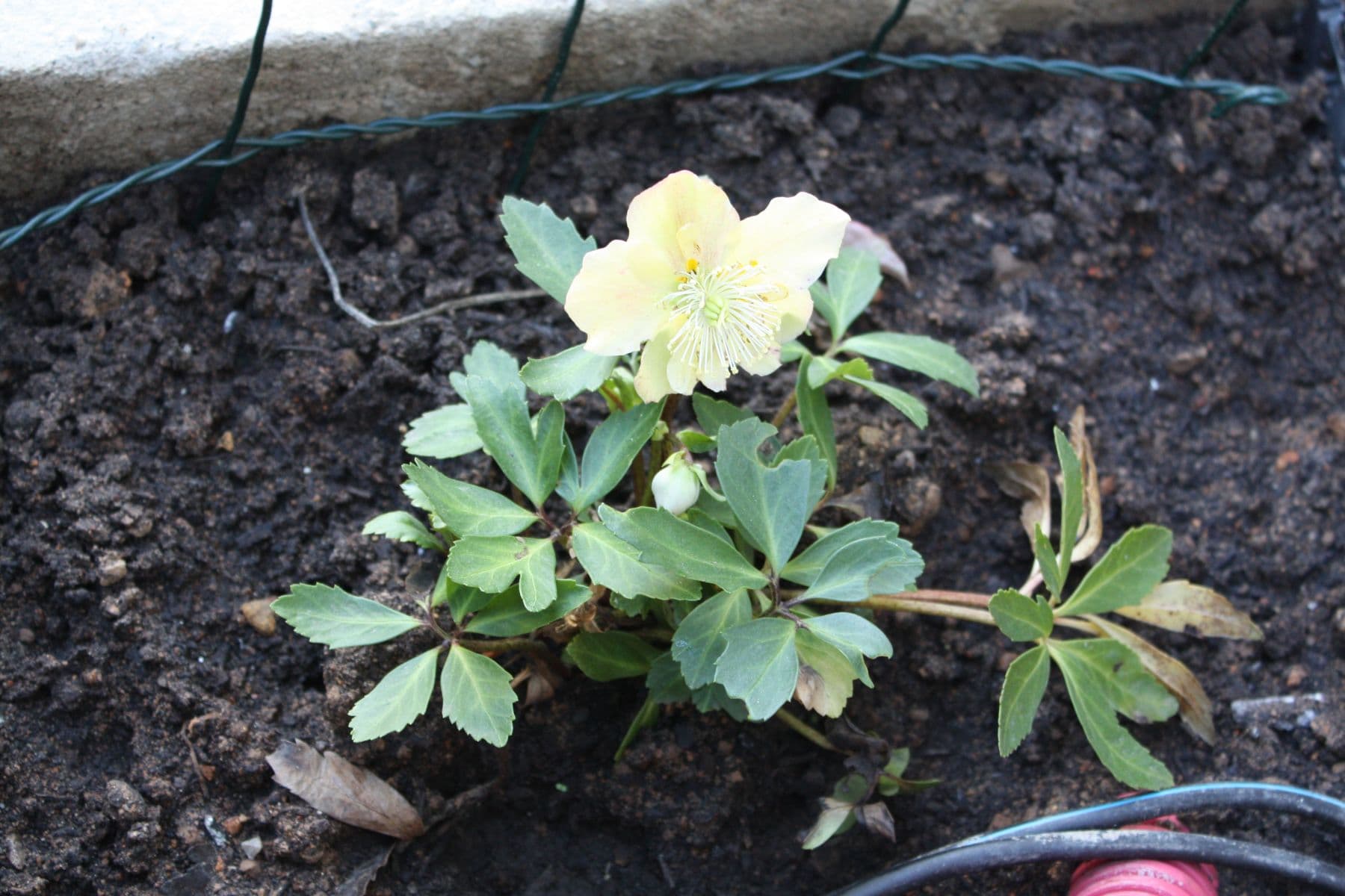 Prenájom bytu 2-izbový 27 m², Ve Střešovičkách, Praha, Praha Prenájom bytu 2-izbový 27 m², Ve Střešovičkách, Praha, Praha