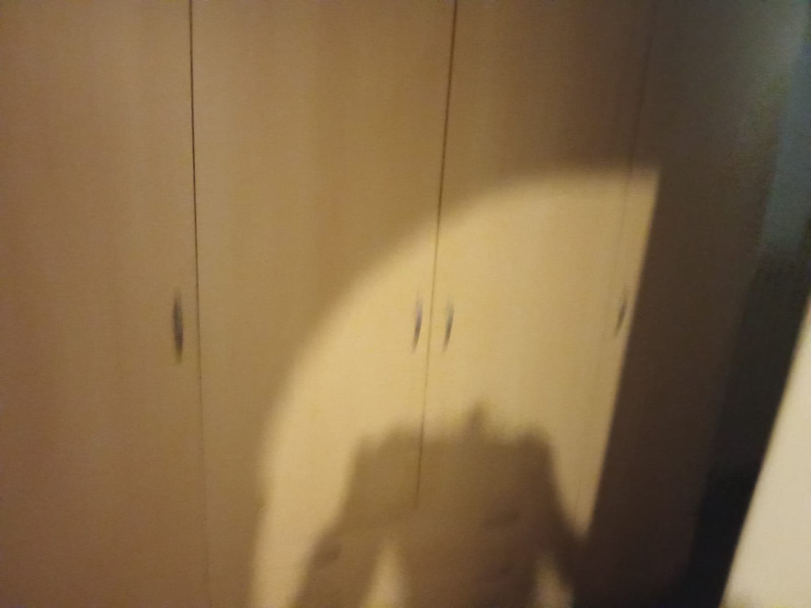 Prenájom bytu 2-izbový 67 m², Heřmanova, Praha, Praha Prenájom bytu 2-izbový 67 m², Heřmanova, Praha, Praha