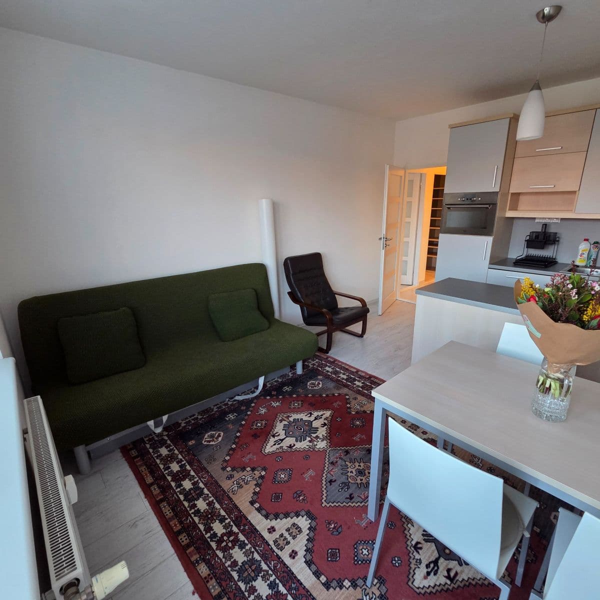 Prenájom bytu 2-izbový 56 m², V Újezdech, Brno, Jihomoravský kraj Prenájom bytu 2-izbový 56 m², V Újezdech, Brno, Jihomoravský kraj