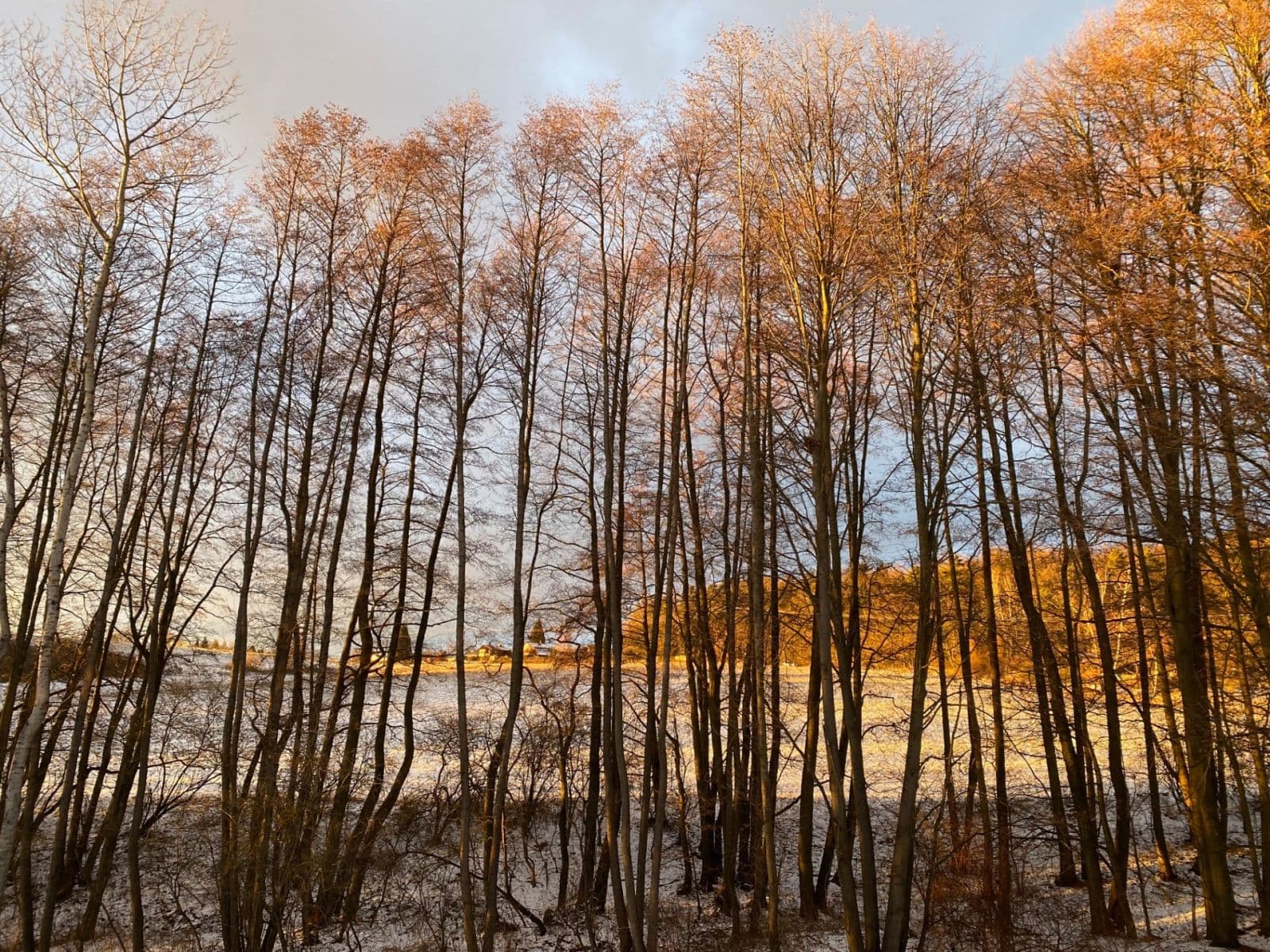 Predaj rekreačného objektu 35 m², pozemek 324 m², Struhařov, Středočeský kraj Predaj rekreačného objektu 35 m², pozemek 324 m², Struhařov, Středočeský kraj