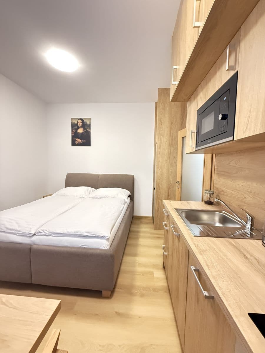 Prenájom bytu 21 m², Zbraslavská, Praha, Praha Prenájom bytu 21 m², Zbraslavská, Praha, Praha