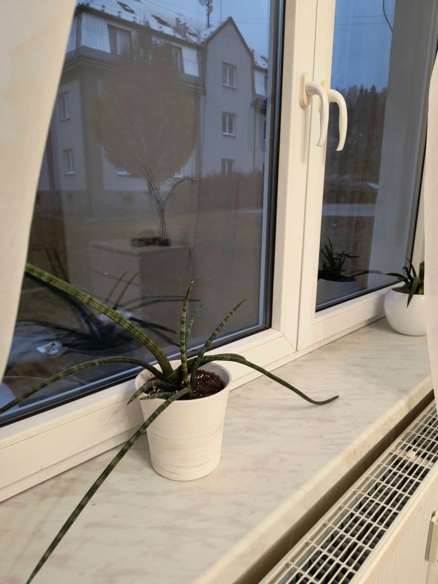 Prenájom bytu 1-izbový 37 m², sídliště 9. května, Nejdek, Karlovarský kraj Prenájom bytu 1-izbový 37 m², sídliště 9. května, Nejdek, Karlovarský kraj