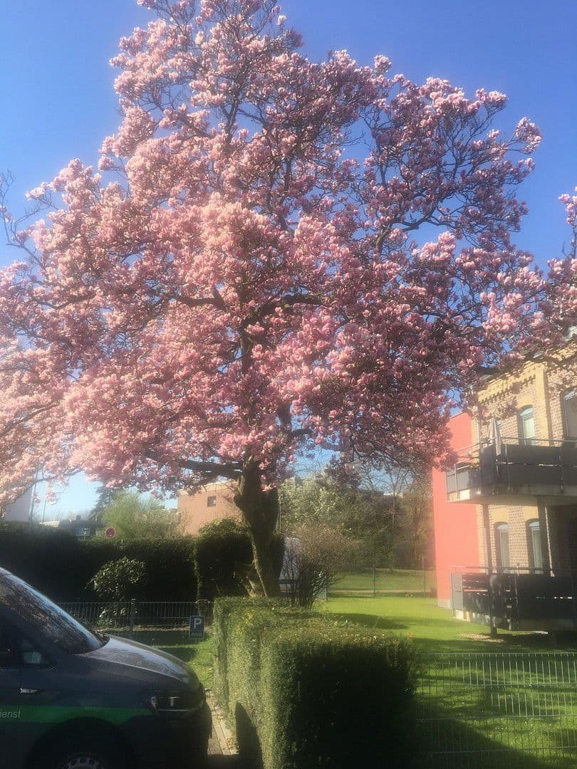 Predaj bytu 3-izbový 85 m², Am Dreieck 17, Kaarst, Severné Porýnie - Westfálsko Predaj bytu 3-izbový 85 m², Am Dreieck 17, Kaarst, Severné Porýnie - Westfálsko