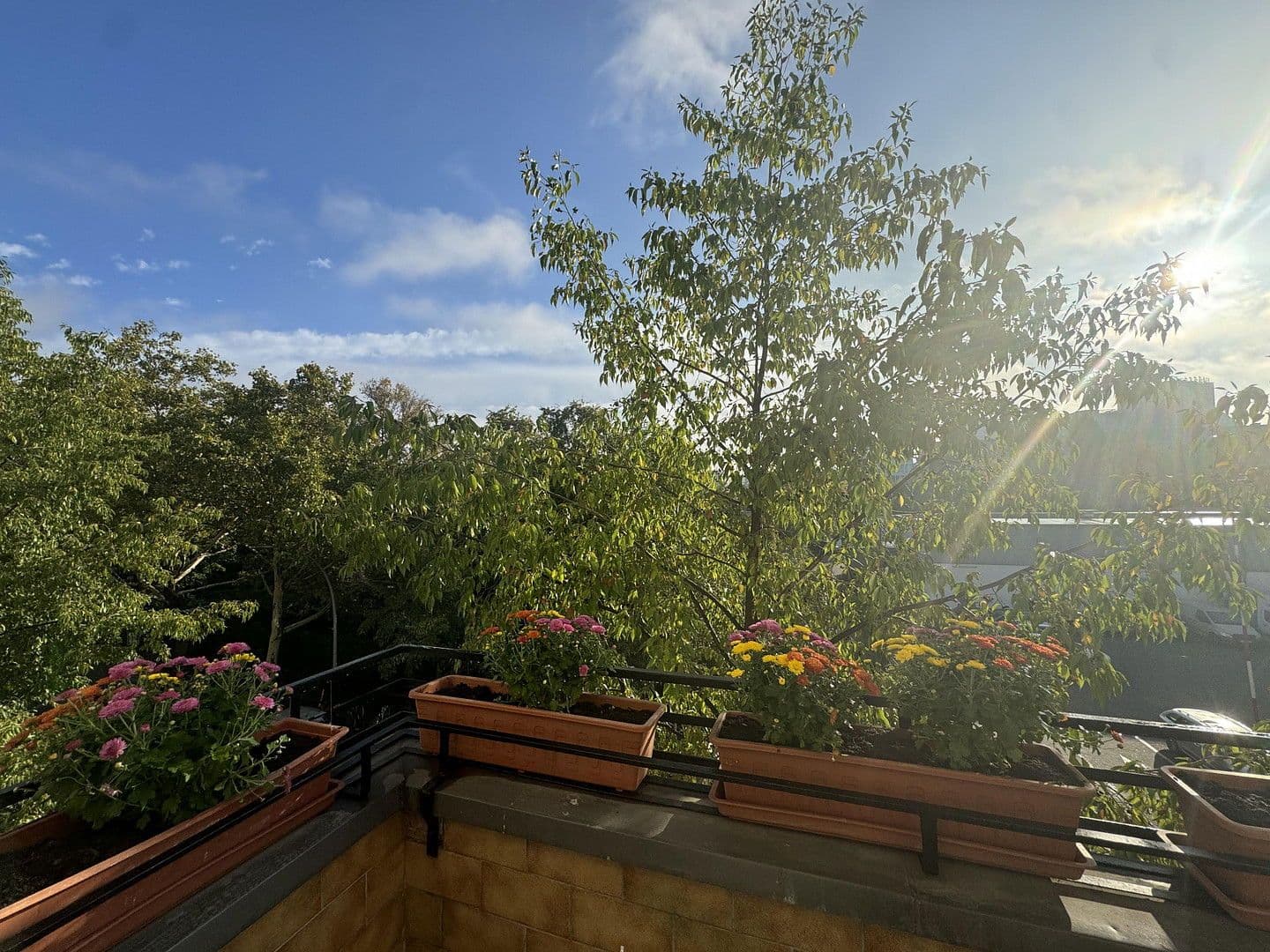 Predaj bytu 3-izbový 80 m², Berlin, Berlín Predaj bytu 3-izbový 80 m², Berlin, Berlín