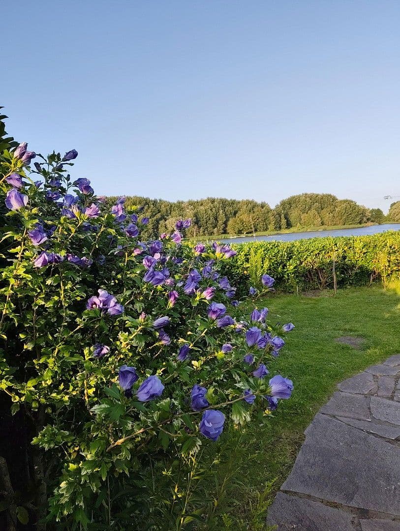 Predaj domu 70 m², pozemek 500 m², Neuhaus, Dolné Sasko Predaj domu 70 m², pozemek 500 m², Neuhaus, Dolné Sasko