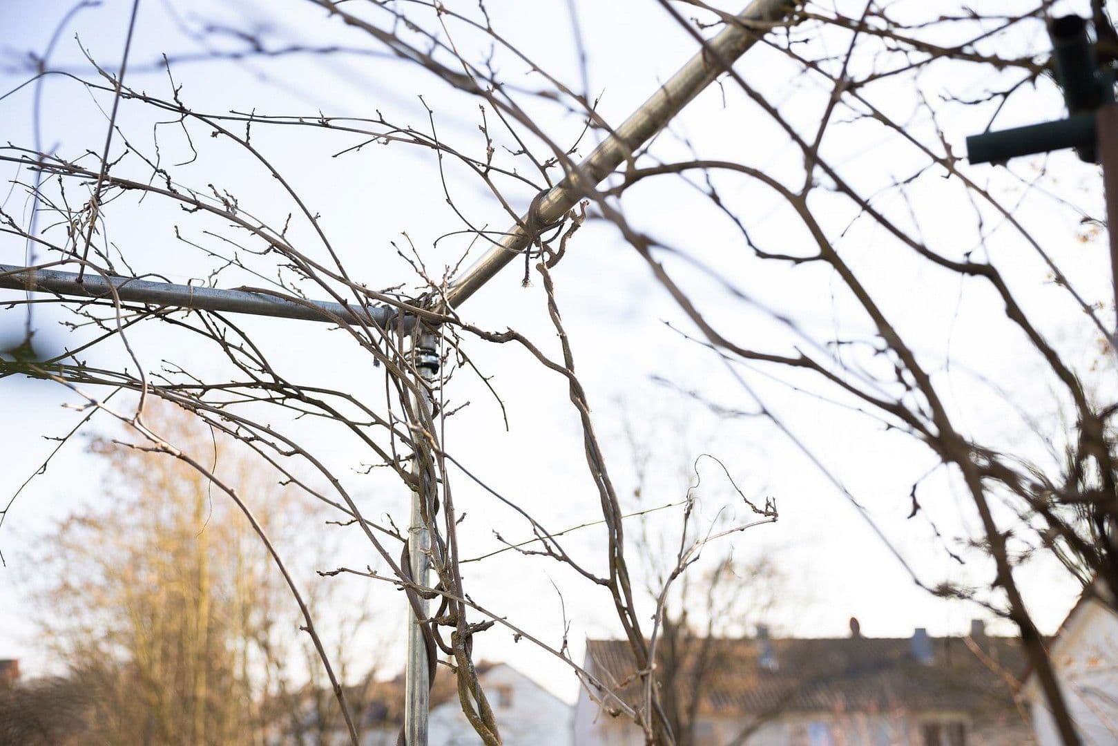 Predaj bytu 2-izbový 51 m², Waiblingen, Bádensko-Wurttembersko Predaj bytu 2-izbový 51 m², Waiblingen, Bádensko-Wurttembersko