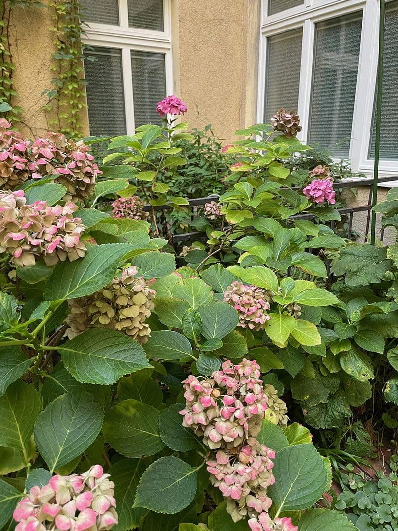 Prenájom kancelárie 135 m², Niebuhrstr. 36, Berlin, Berlín Prenájom kancelárie 135 m², Niebuhrstr. 36, Berlin, Berlín