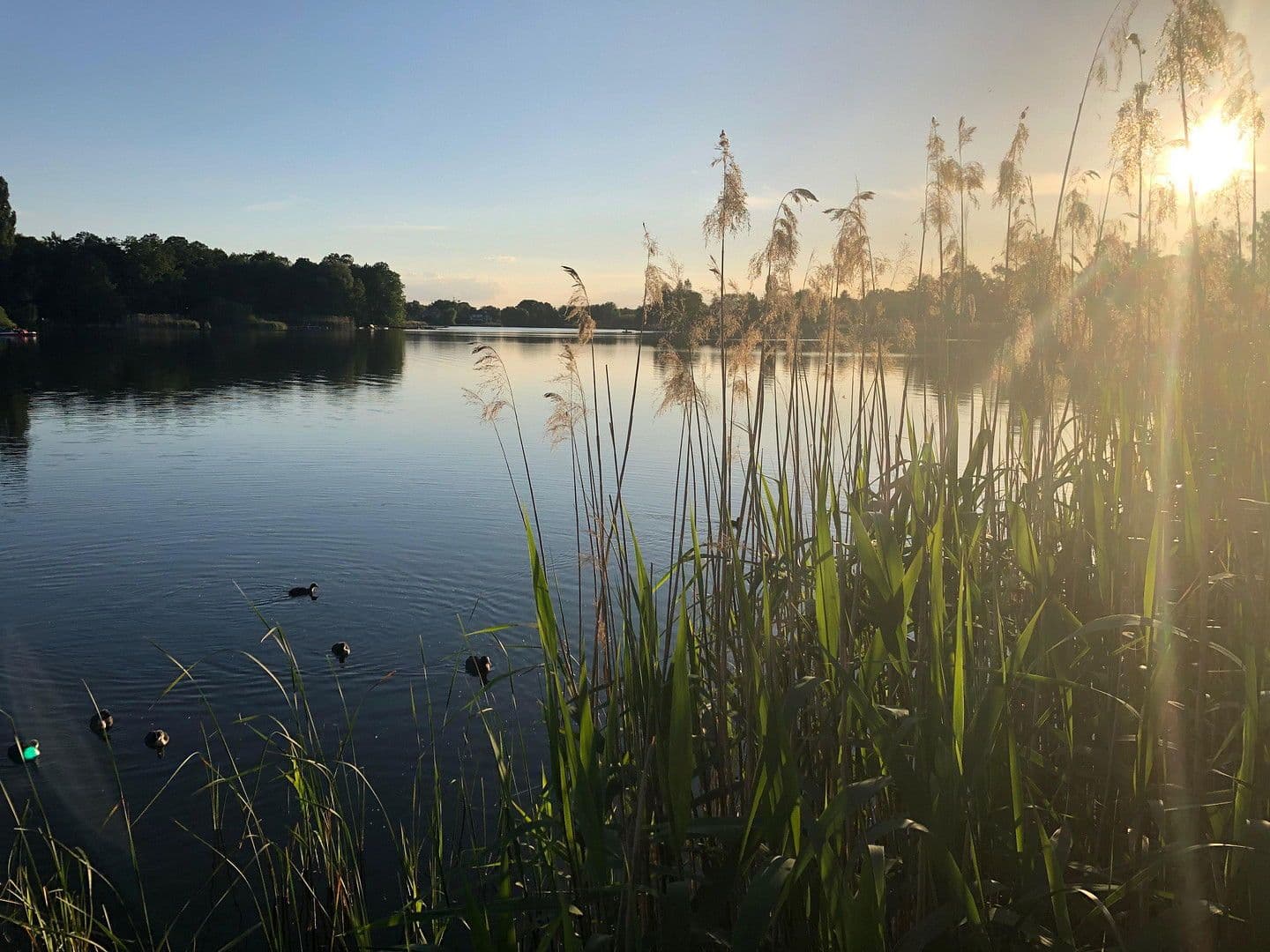 Predaj domu 218 m², pozemek 530 m², Falkensee, Brandenbursko Predaj domu 218 m², pozemek 530 m², Falkensee, Brandenbursko