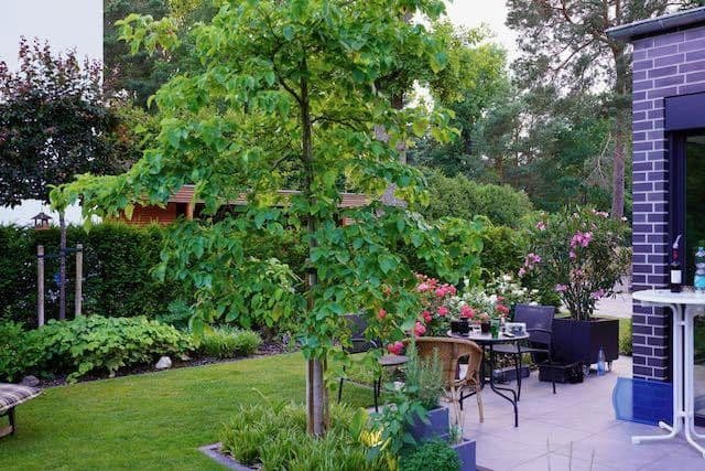 Predaj domu 218 m², pozemek 530 m², Falkensee, Brandenbursko Predaj domu 218 m², pozemek 530 m², Falkensee, Brandenbursko