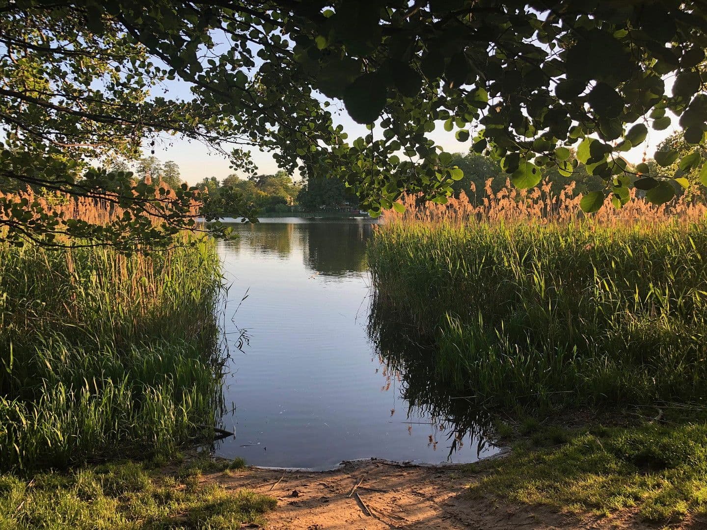 Predaj domu 218 m², pozemek 530 m², Falkensee, Brandenbursko Predaj domu 218 m², pozemek 530 m², Falkensee, Brandenbursko