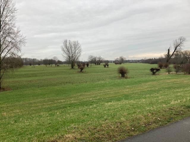 Predaj bytu 3-izbový 82 m², Walburgisstr., Düsseldorf (Kaiserswerth), Severné Porýnie - Westfálsko Predaj bytu 3-izbový 82 m², Walburgisstr., Düsseldorf (Kaiserswerth), Severné Porýnie - Westfálsko