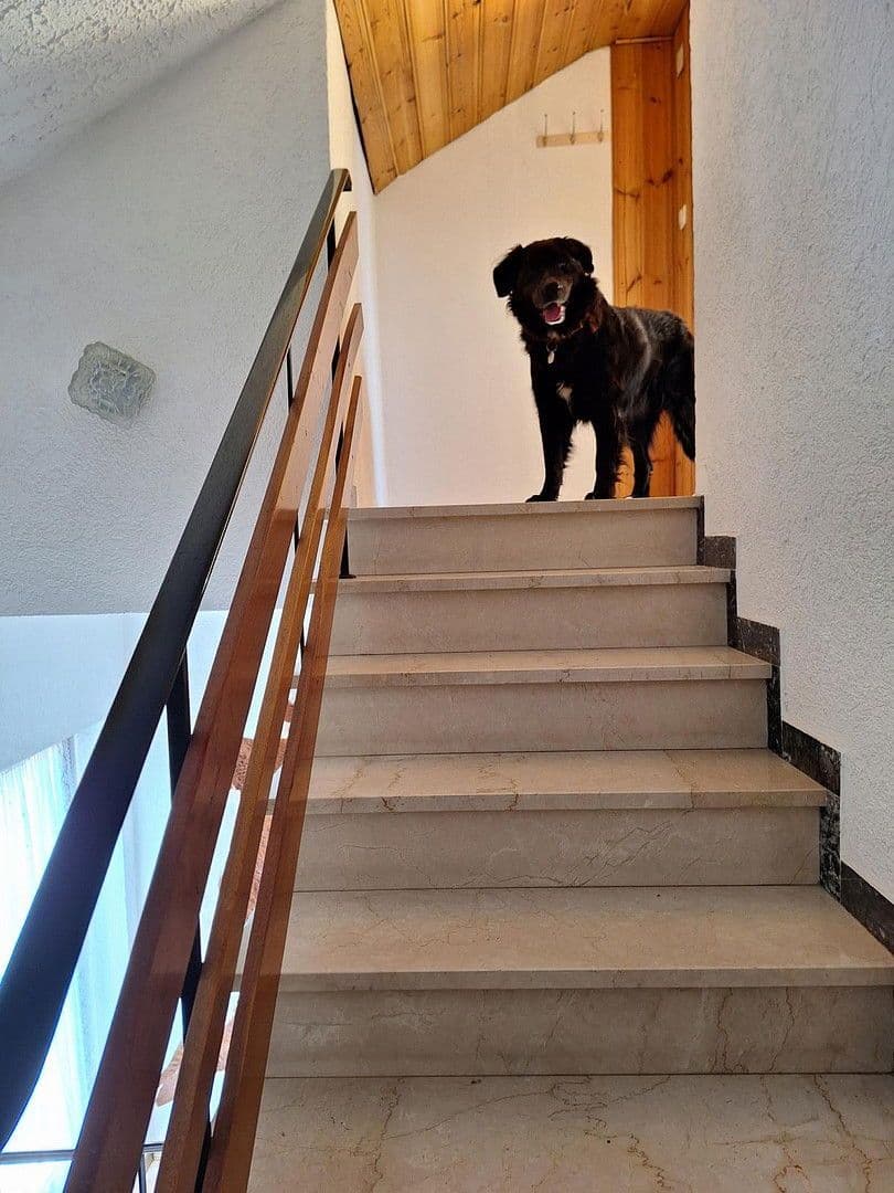 Predaj domu 383 m², pozemek 1.457 m², Schwaigener Str. 28, Mamming, Bavorsko Predaj domu 383 m², pozemek 1.457 m², Schwaigener Str. 28, Mamming, Bavorsko