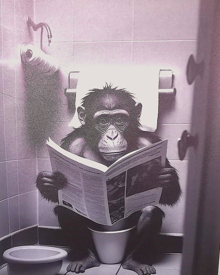 Prenájom bytu 13 m², Lemgo, Severné Porýnie - Westfálsko Prenájom bytu 13 m², Lemgo, Severné Porýnie - Westfálsko