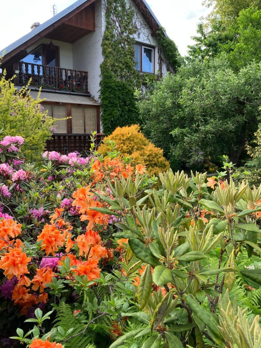 Predaj domu 85 m², pozemek 815 m², Město Albrechtice, Moravskoslezský kraj Predaj domu 85 m², pozemek 815 m², Město Albrechtice, Moravskoslezský kraj