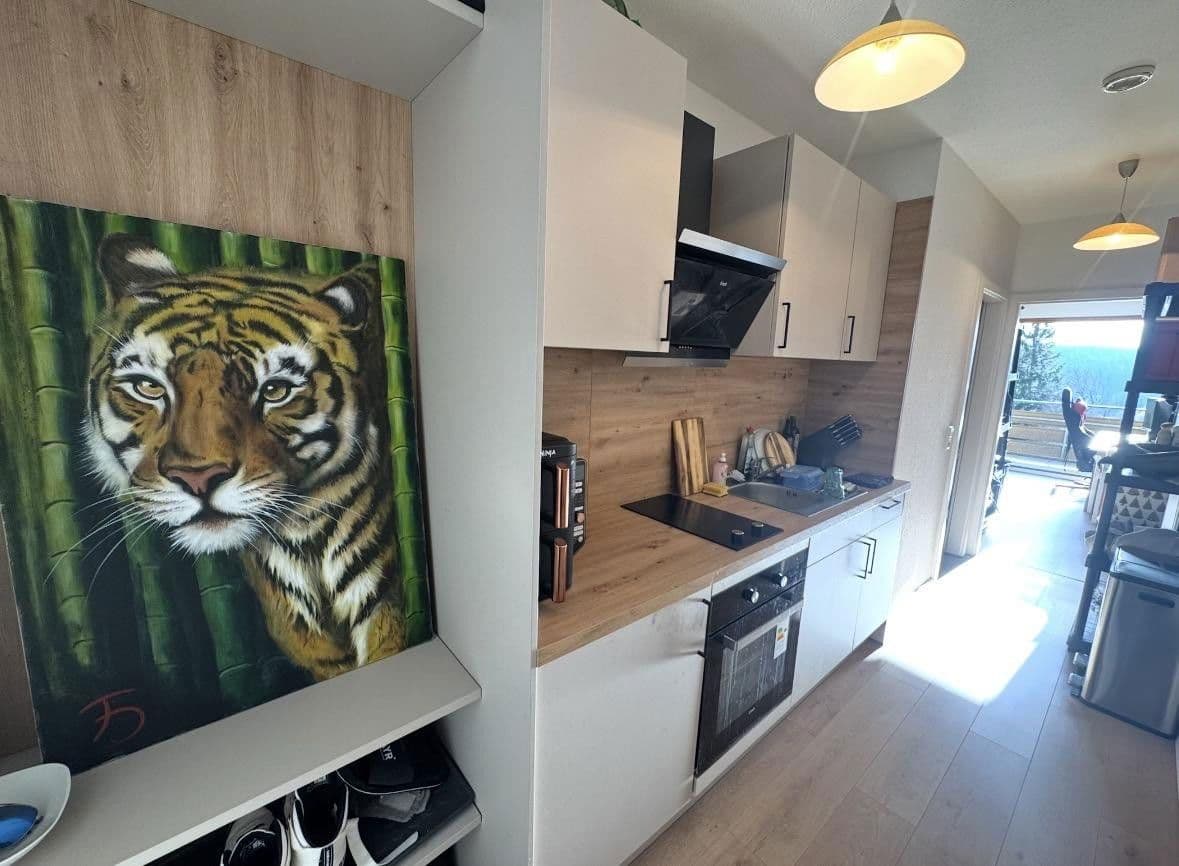 Prenájom bytu 1-izbový 36 m², Am Wald 19, Unterkirnach, Bádensko-Wurttembersko Prenájom bytu 1-izbový 36 m², Am Wald 19, Unterkirnach, Bádensko-Wurttembersko